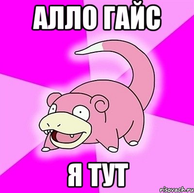 Алло гайс я тут, Мем слоупок