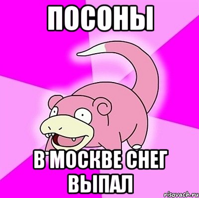 Посоны В Москве снег выпал, Мем слоупок