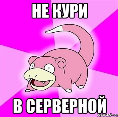 Не кури в серверной, Мем слоупок