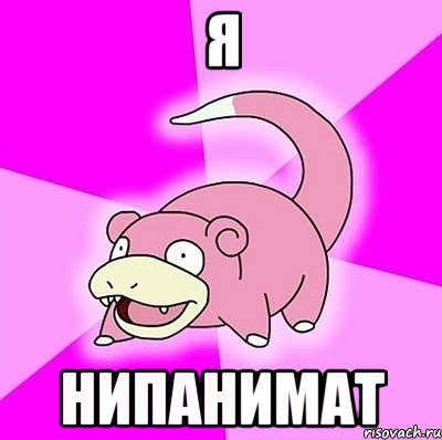 я нипанимат