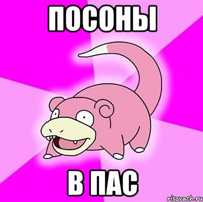 Посоны в пас, Мем слоупок