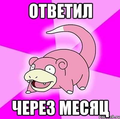 Ответил через месяц, Мем слоупок