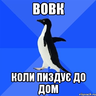 вовк коли пиздує до дом, Мем  Социально-неуклюжий пингвин