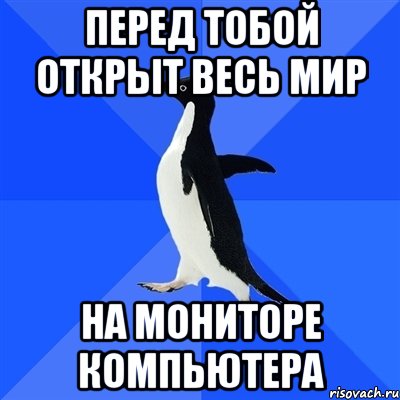 перед тобой открыт весь мир на мониторе компьютера, Мем  Социально-неуклюжий пингвин