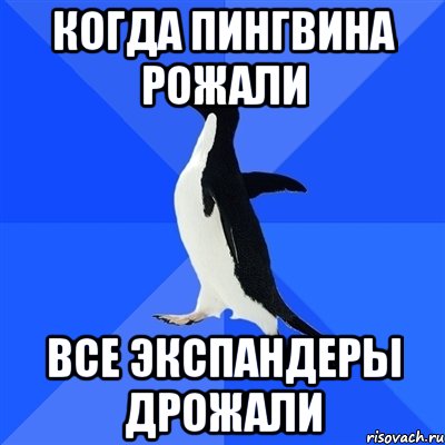 Когда пингвина рожали Все экспандеры дрожали, Мем  Социально-неуклюжий пингвин