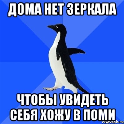 дома нет зеркала чтобы увидеть себя хожу в ПОМИ, Мем  Социально-неуклюжий пингвин