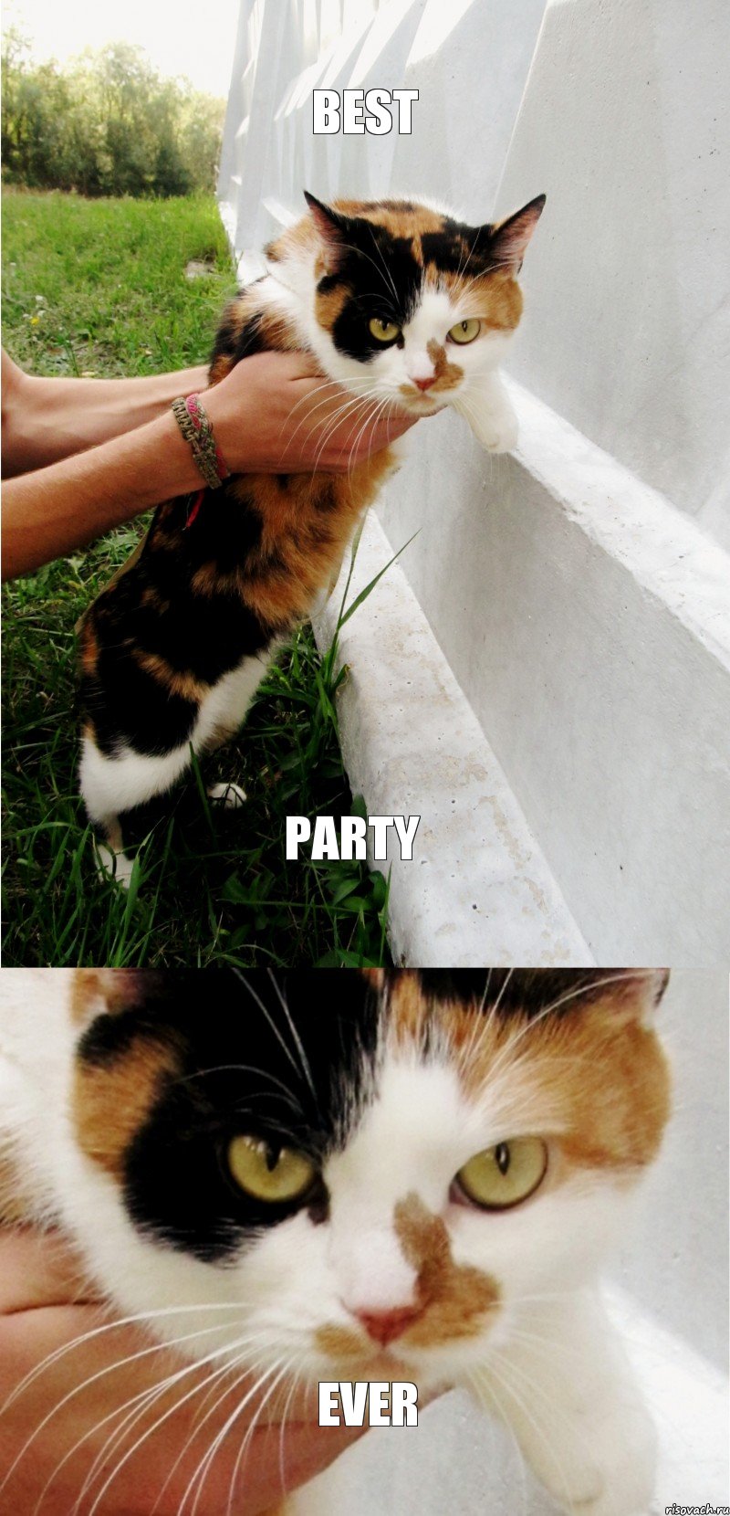 BEST PARTY EVER, Комикс SONIA