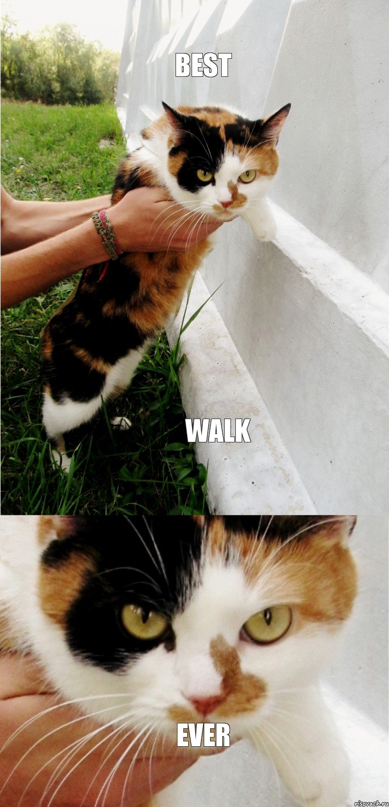 BEST WALK EVER, Комикс SONIA