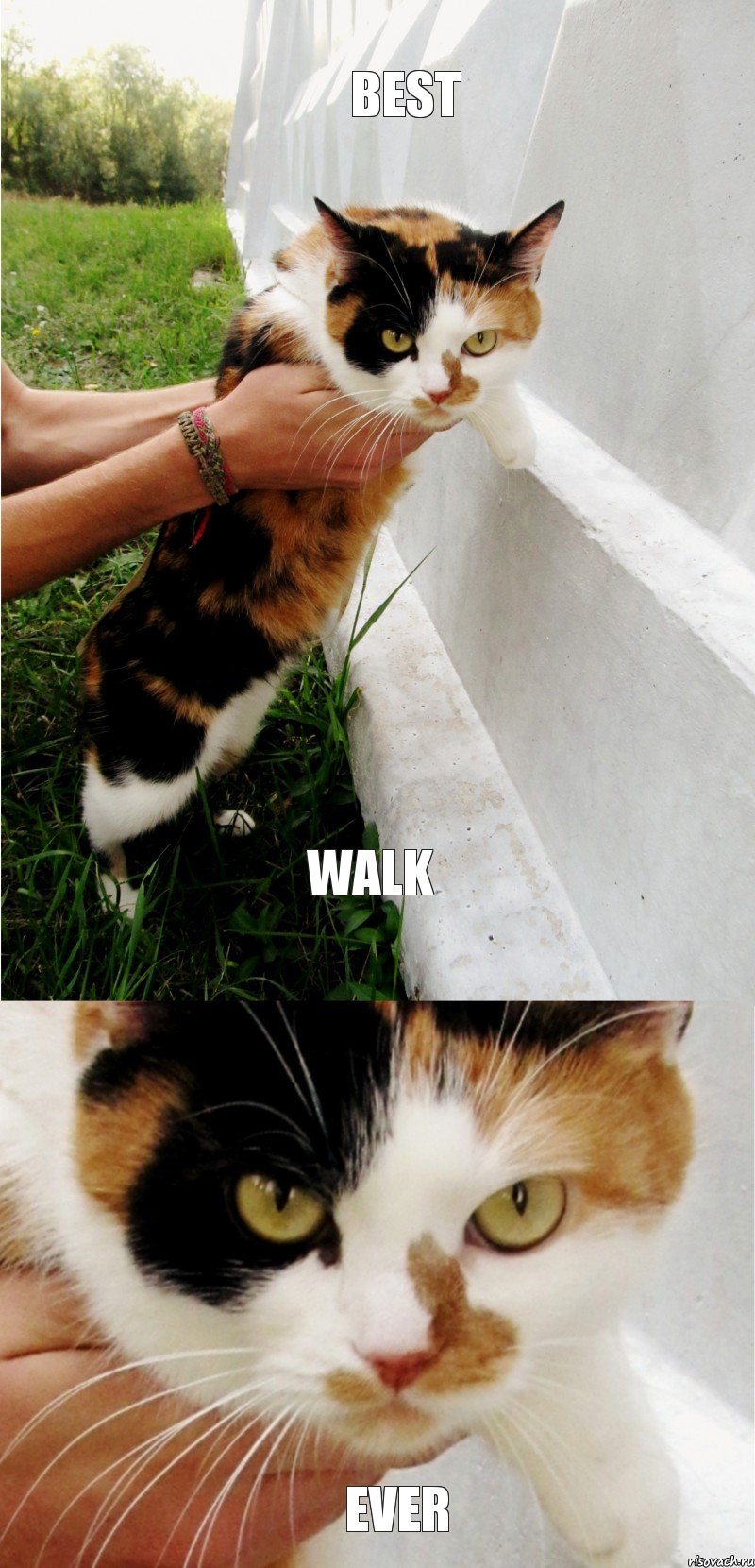 BEST WALK EVER, Комикс SONIA