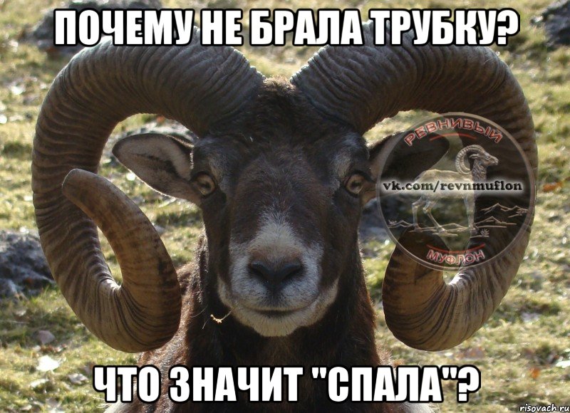 Почему не брала трубку? Что значит "спала"?