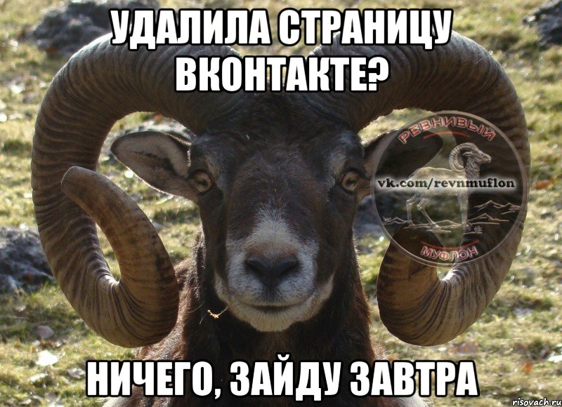 Удалила страницу вконтакте? ничего, зайду завтра