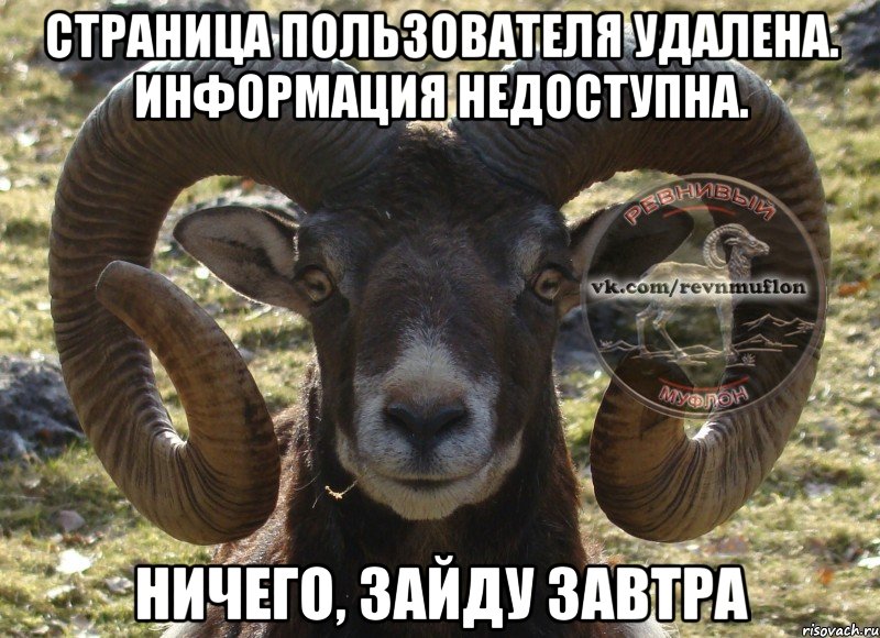 Страница пользователя удалена. Информация недоступна. ничего, зайду завтра