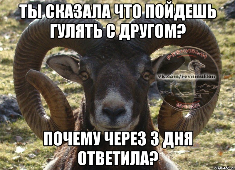 Ты сказала что пойдешь гулять с другом? Почему через 3 дня ответила?