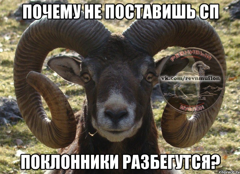 почему не поставишь сп поклонники разбегутся?