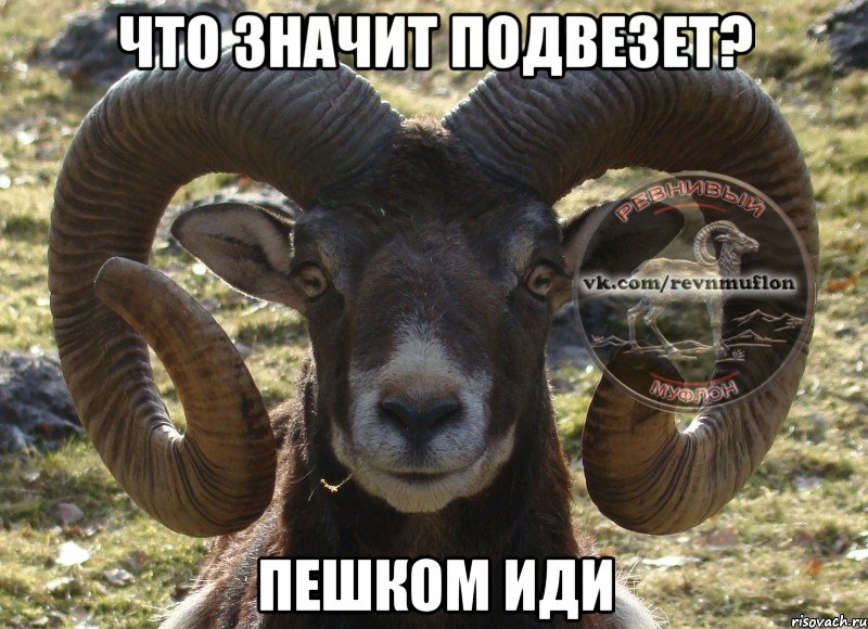 что значит подвезет? пешком иди