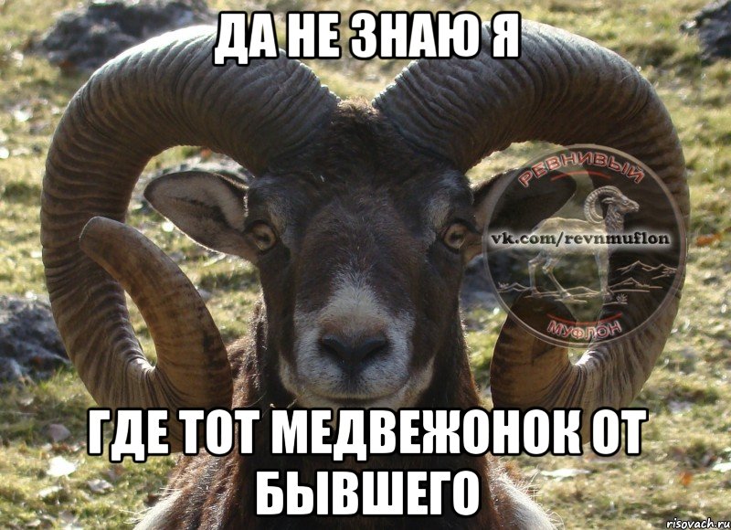 да не знаю я где тот медвежонок от бывшего