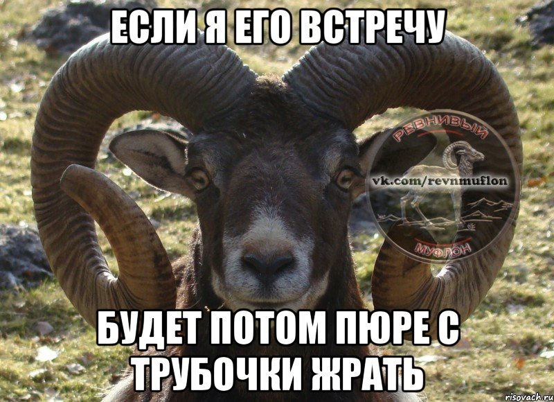 если я его встречу будет потом пюре с трубочки жрать