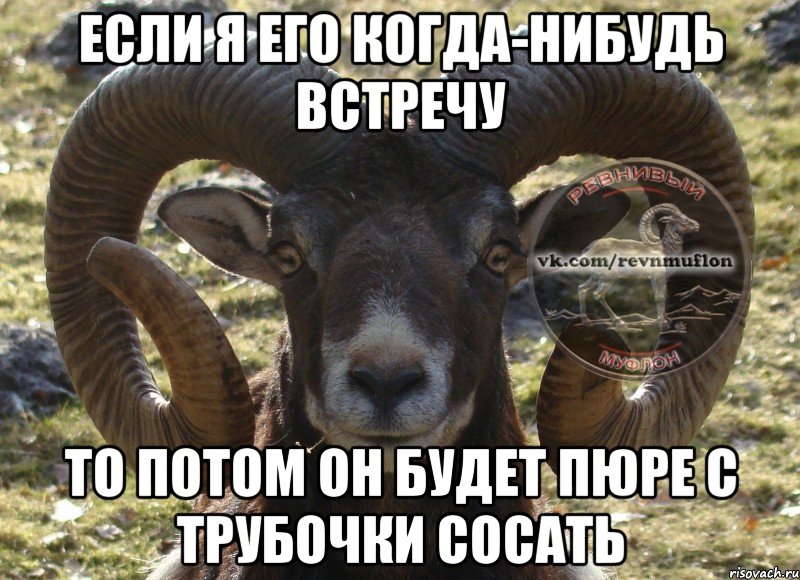 если я его когда-нибудь встречу то потом он будет пюре с трубочки сосать