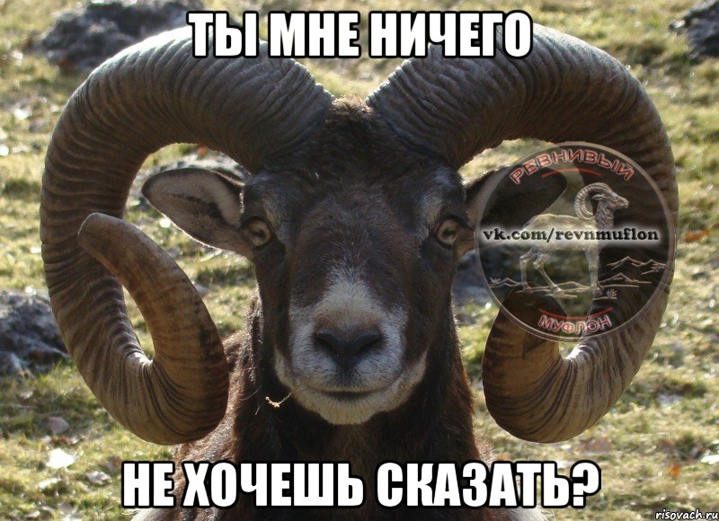 ты мне ничего не хочешь сказать?