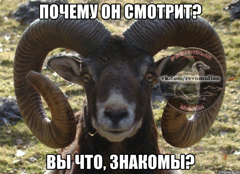 почему он смотрит? вы что, знакомы?