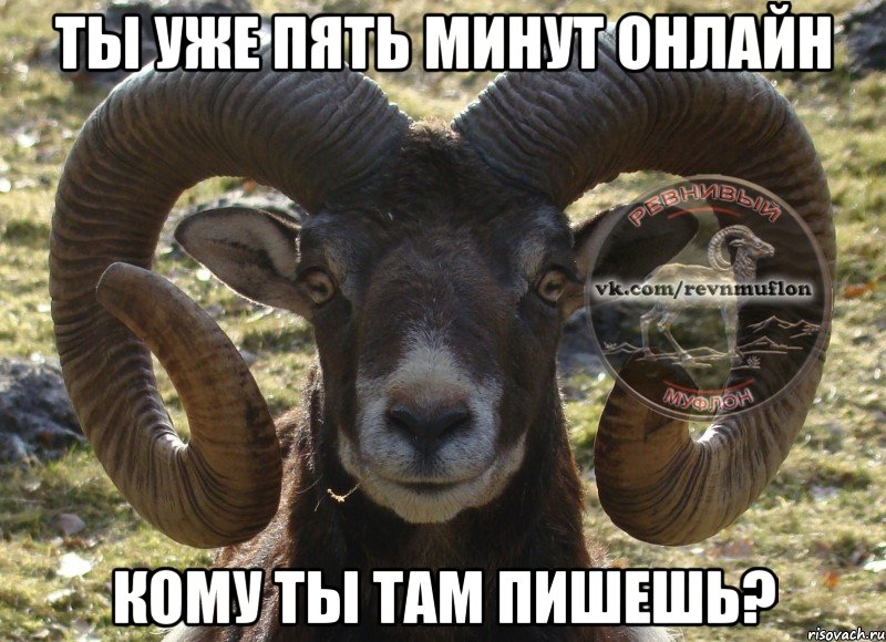 ты уже пять минут онлайн кому ты там пишешь?