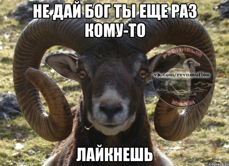 не дай бог ты еще раз кому-то лайкнешь