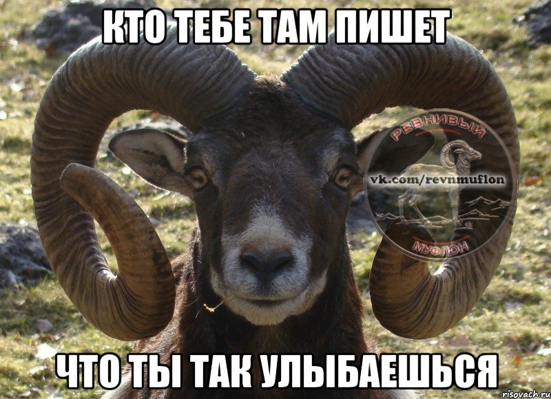 кто тебе там пишет что ты так улыбаешься