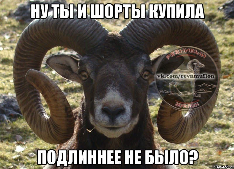 ну ты и шорты купила подлиннее не было?