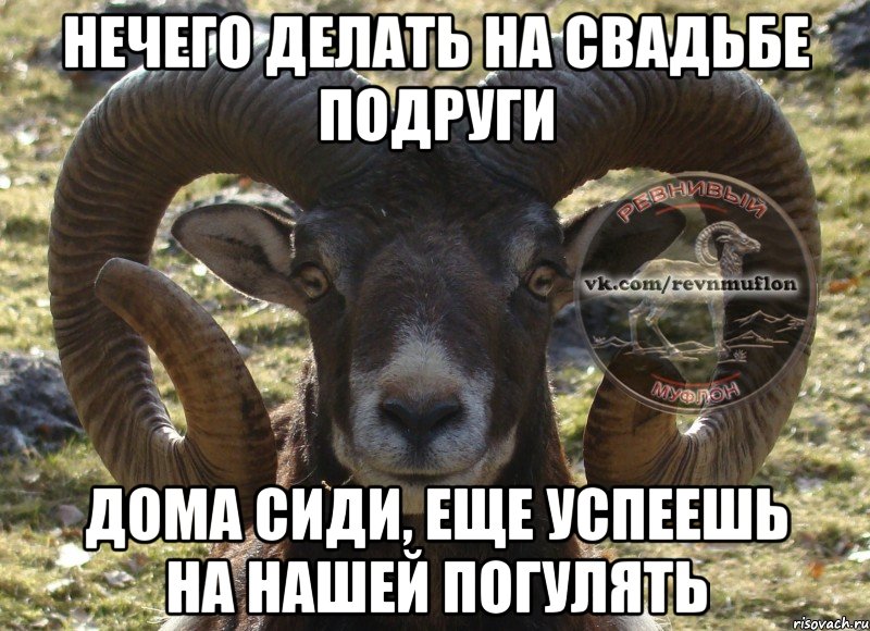 Нечего делать на свадьбе подруги Дома сиди, еще успеешь на нашей погулять
