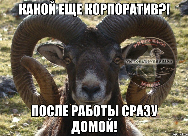 Какой еще корпоратив?! После работы сразу домой!
