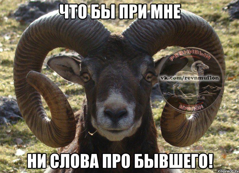 Что бы при мне Ни слова про бывшего!