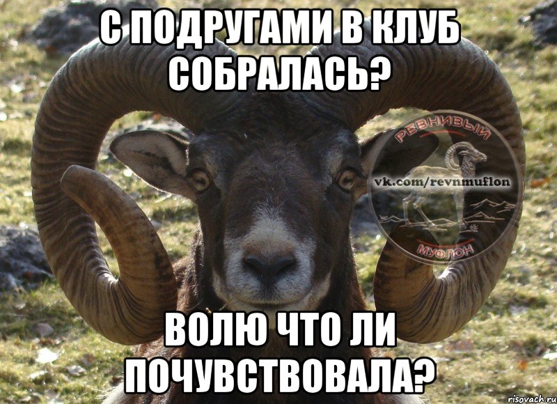 С подругами в клуб собралась? Волю что ли почувствовала?