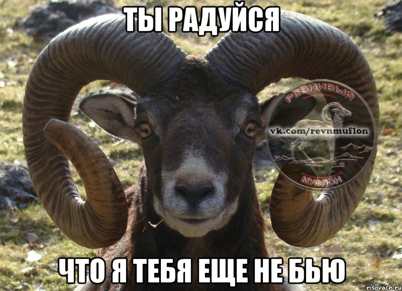 Ты радуйся что я тебя еще не бью