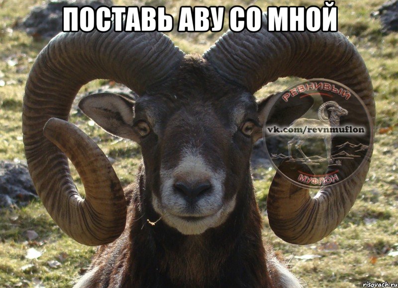 поставь аву со мной 