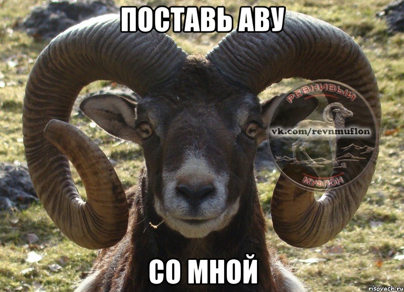 Поставь аву СО МНОЙ