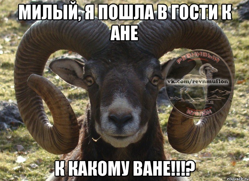 Милый, я пошла в гости к Ане К какому Ване!!!?