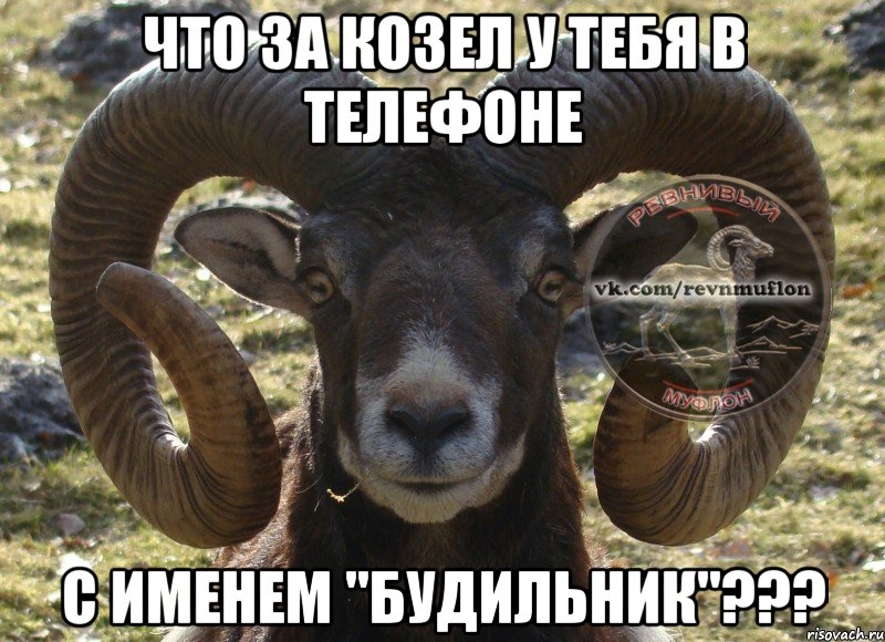 Что за козел у тебя в телефоне с именем "будильник"???