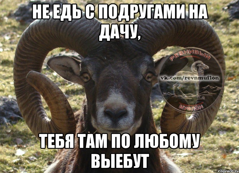 Не едь с подругами на дачу, Тебя там по любому выебут