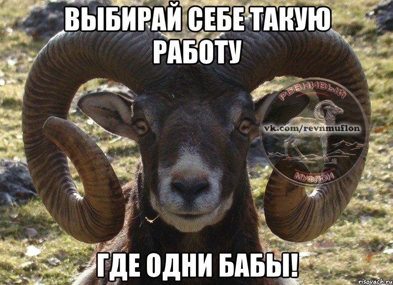 Выбирай себе такую работу Где одни бабы!