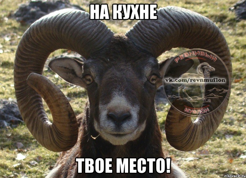 На кухне Твое место!