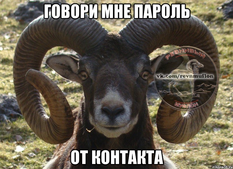 Говори мне пароль От контакта