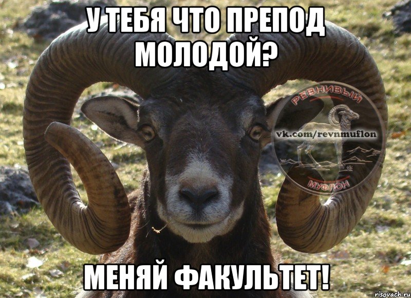 У тебя что препод молодой? Меняй факультет!