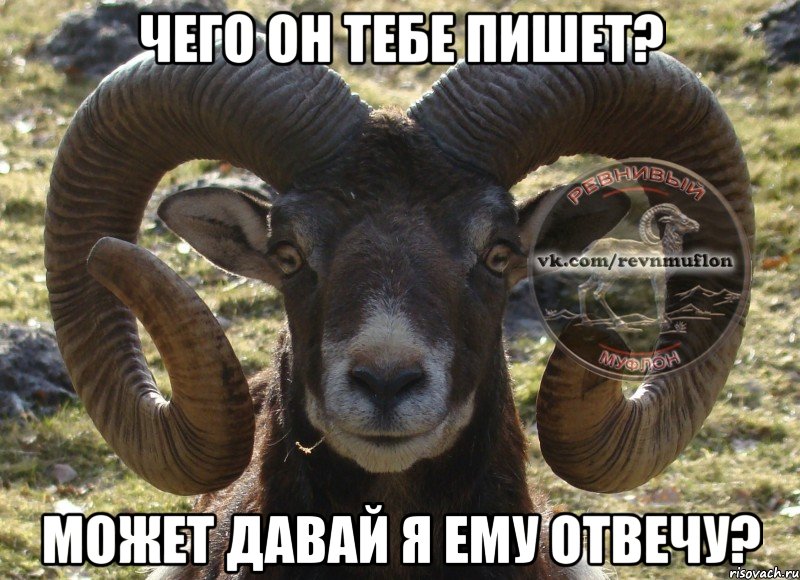 чего он тебе пишет? может давай я ему отвечу?
