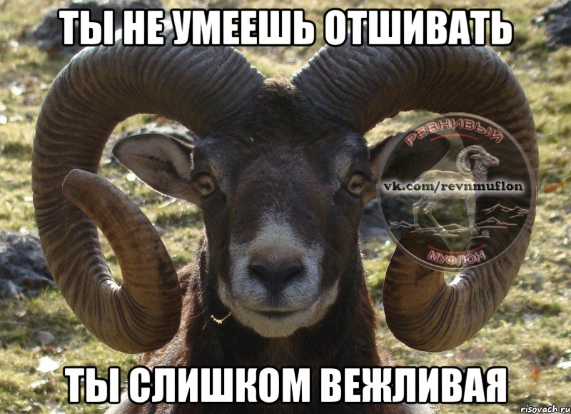 ты не умеешь отшивать ты слишком вежливая