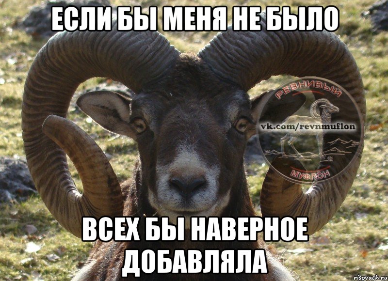 если бы меня не было всех бы наверное добавляла