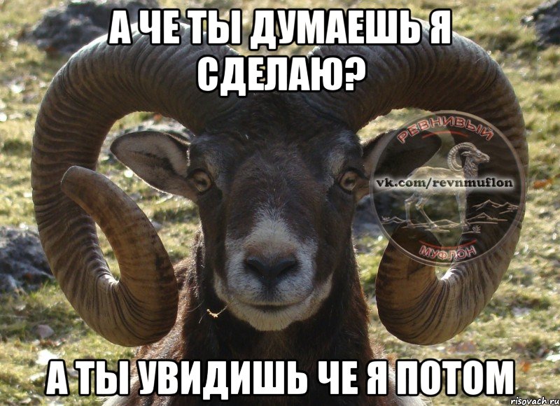 А ЧЕ ТЫ ДУМАЕШЬ Я СДЕЛАЮ? А ТЫ УВИДИШЬ ЧЕ Я ПОТОМ