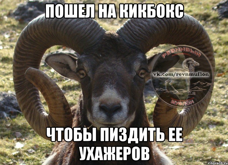 пошел на кикбокс чтобы пиздить ее ухажеров