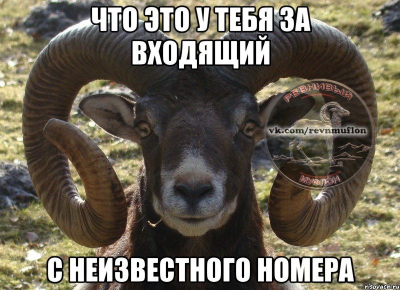 что это у тебя за входящий с неизвестного номера