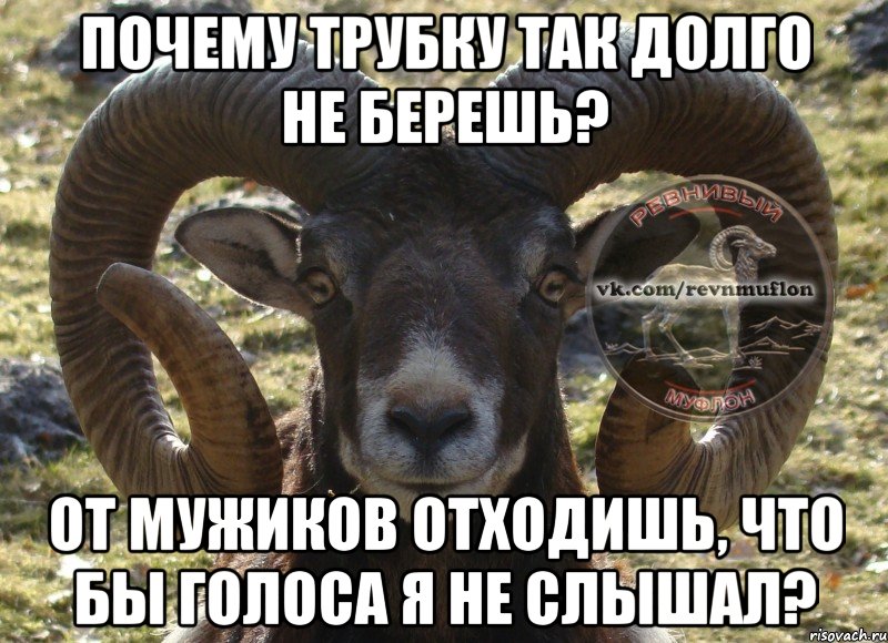 почему трубку так долго не берешь? от мужиков отходишь, что бы голоса я не слышал?