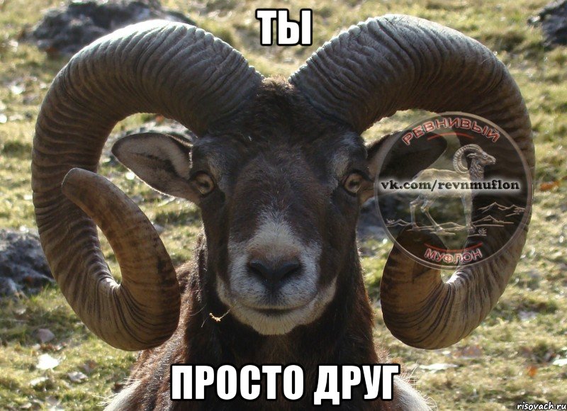 Ты Просто друг